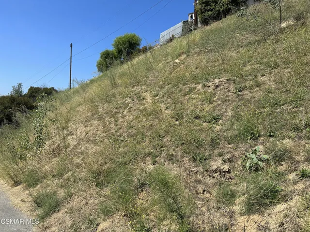 20905 Calimali 5