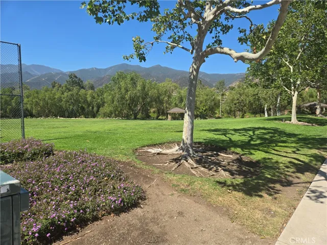 23187 Coffee Berry, Corona, California 92883