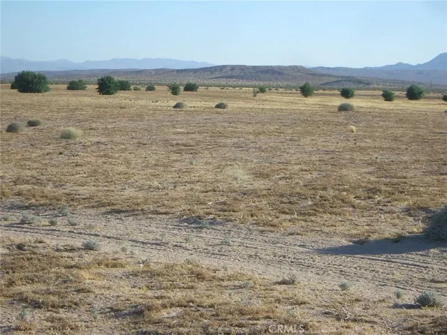 41331 Coyote Lake, Newberry Springs, California 92365
