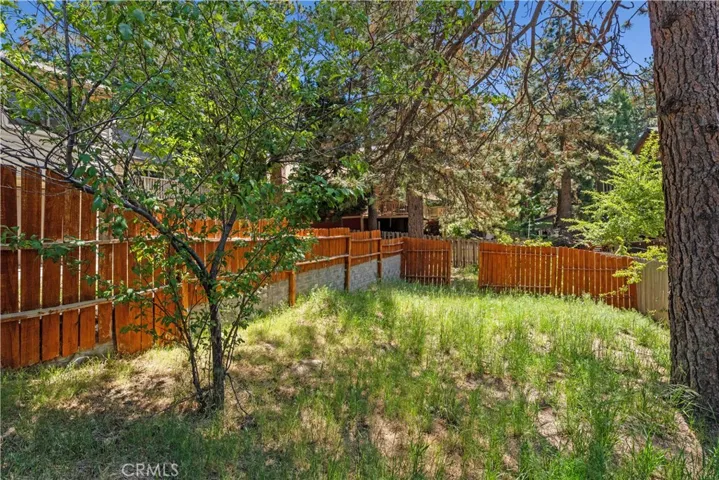 Fenced yard with separate dog run area.