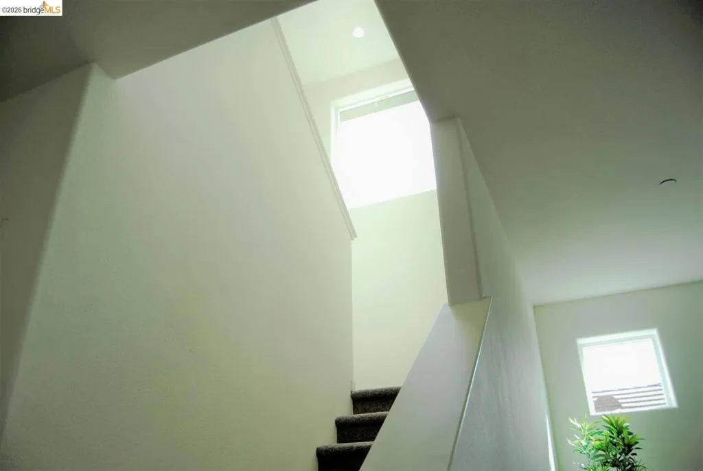 Carpeted staircase with white balustrade and walls