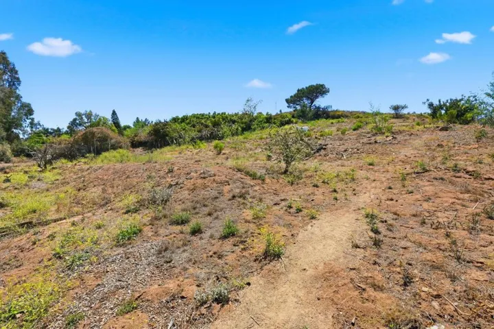 515 Ross Dr, Escondido, California 92029