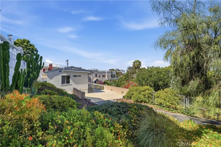 Backyard Area