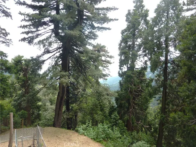 Here's the mountain view from the back yard. Very Pretty.