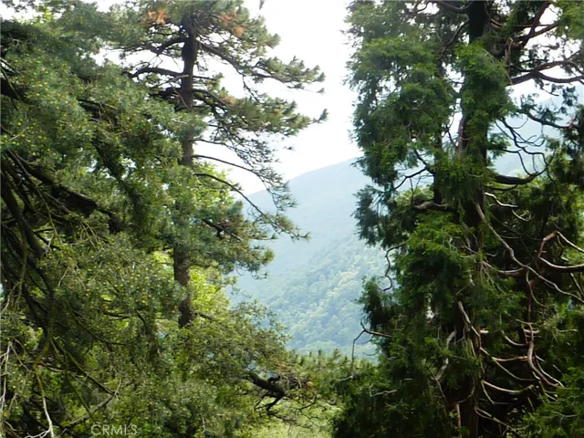 Wonderful mountain view from the main deck.
