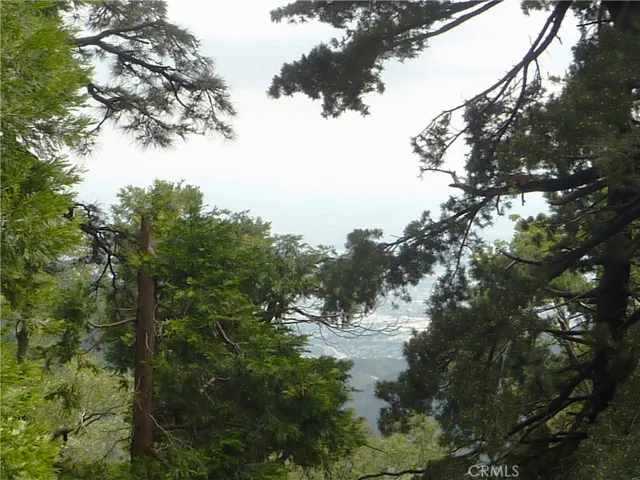Looking through the trees from the main level deck, you can see the valley below.
