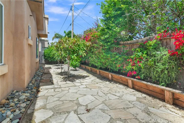 Back yard