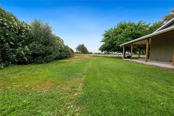 south side yard