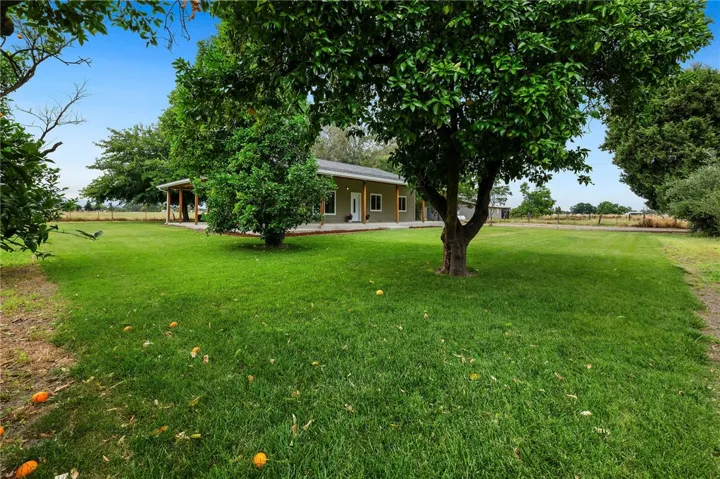 Front from SE corner of yard