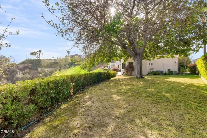 39_VVT01765