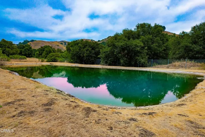 pond natural