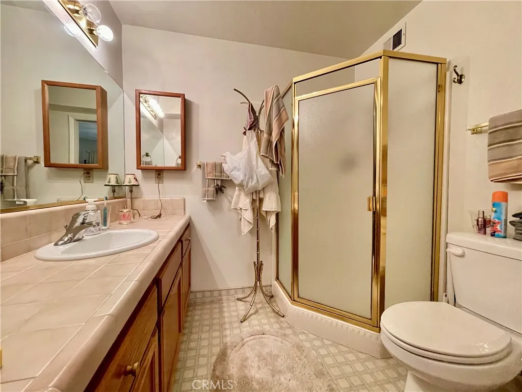 Master Bathroom Lower Level