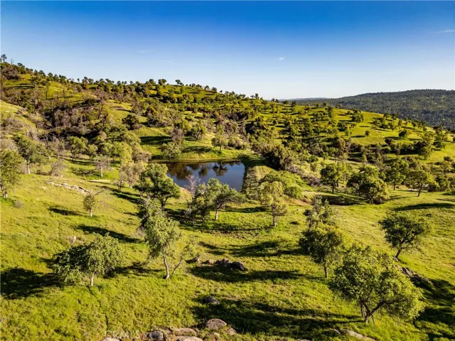 The pond in its setting