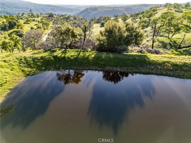 Golden-hour reflection on the pond