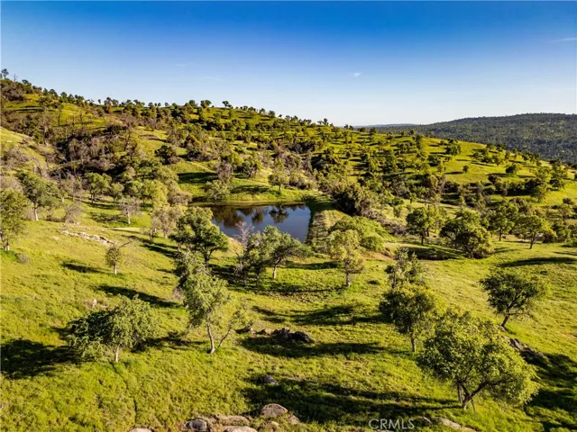 Take a nice hike to the pond for a bit of exercise