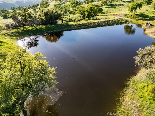 Pond is smooth as glass