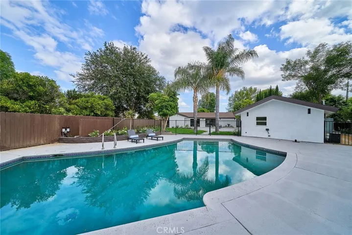 SPARKLING POOL AND PALM TREES