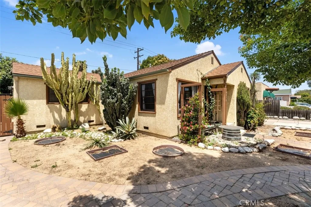 Drought tolerant yard
