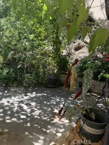 Backyard-portion