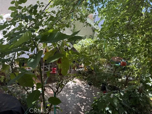 Backyard-Portion