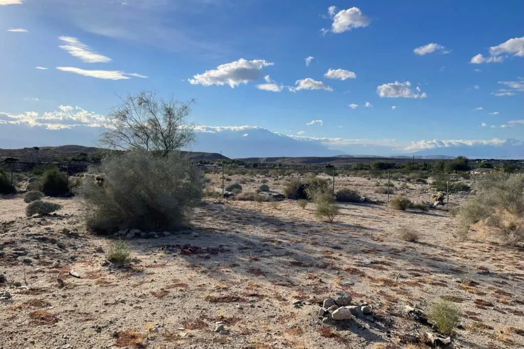28981_Desert_Charm_8