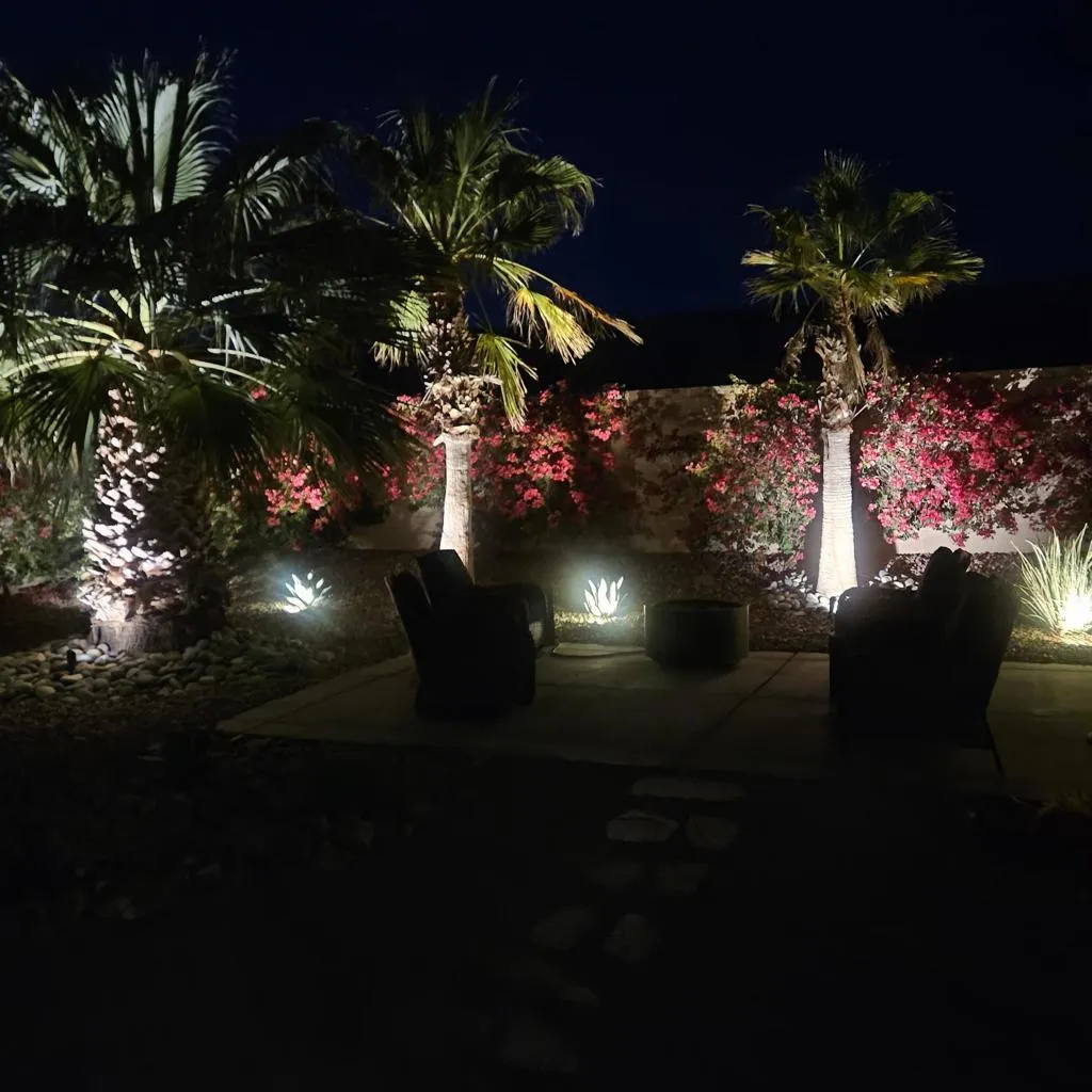 Landscape lights backyard (002)