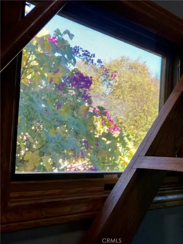 View from a window