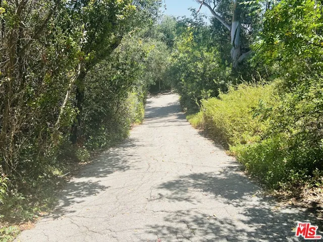 Driveway down to the house