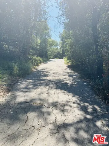Driveway up to the gate