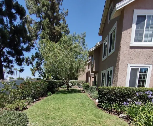 Side yard