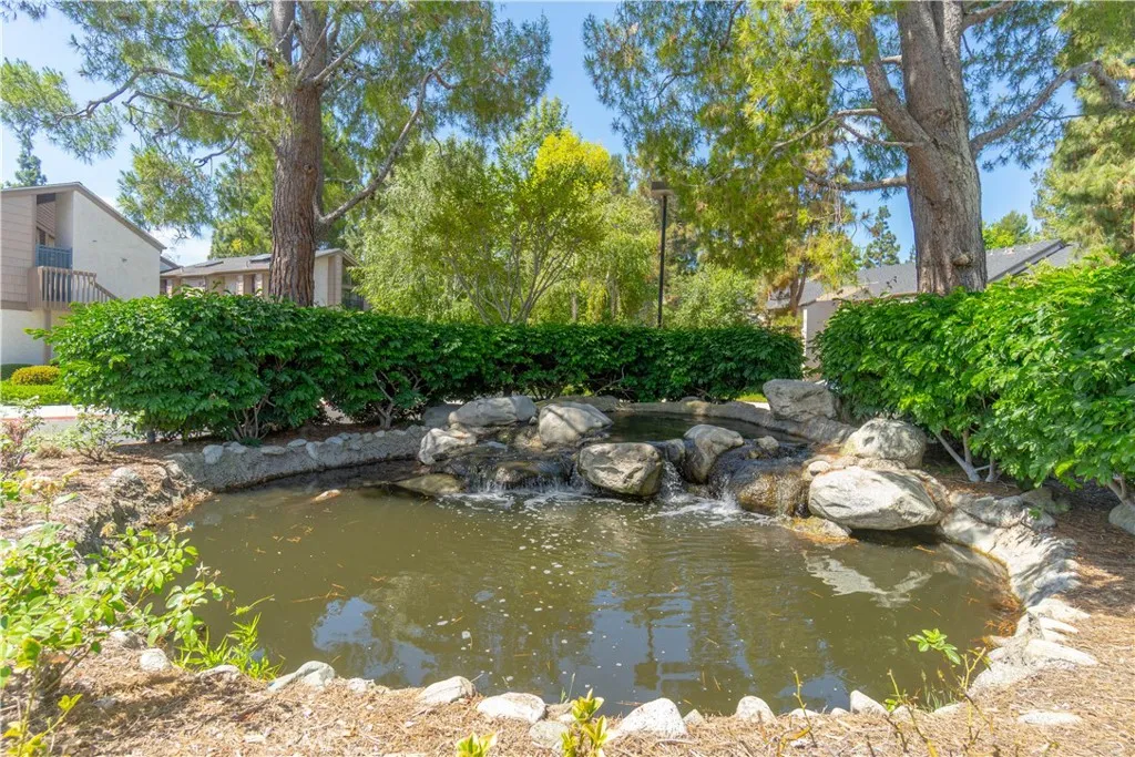 Ponds throughout the community