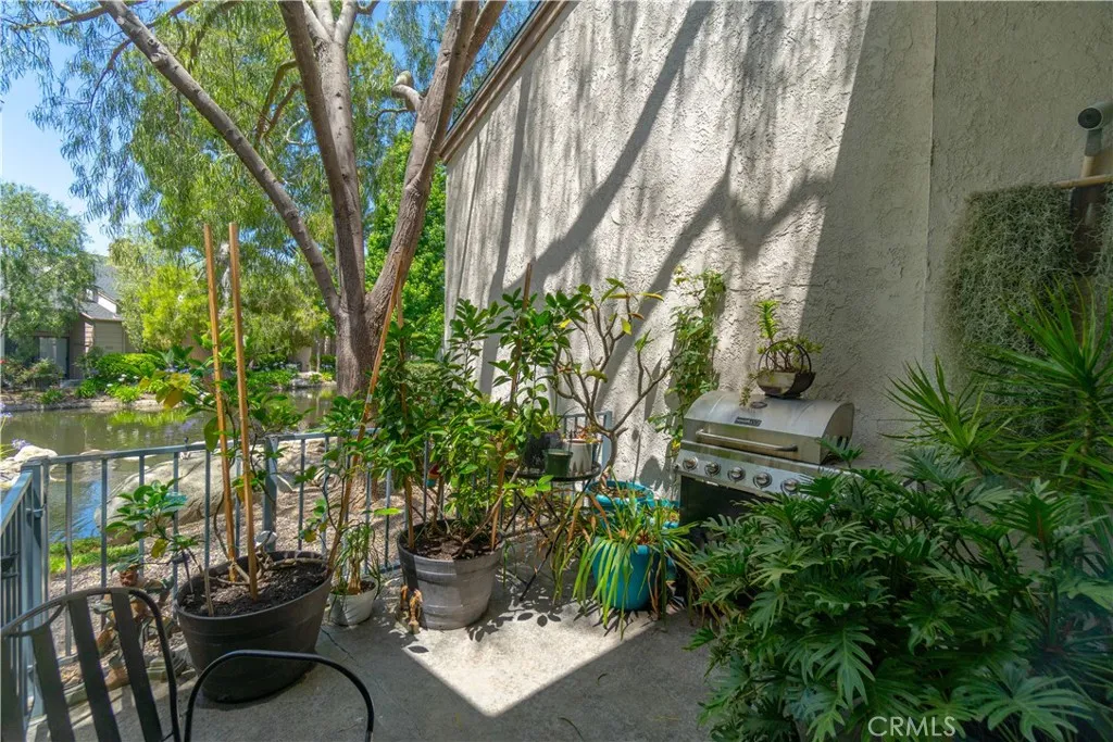 Back Patio