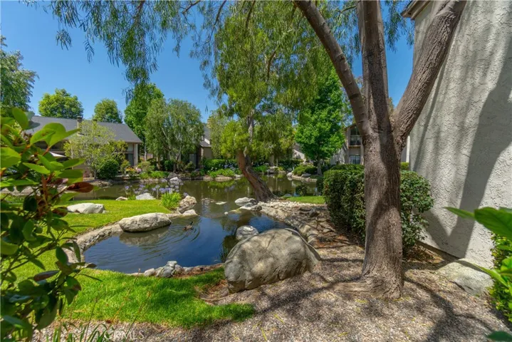 Patio Views of the Pond