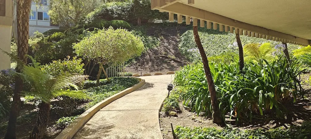 Grounds