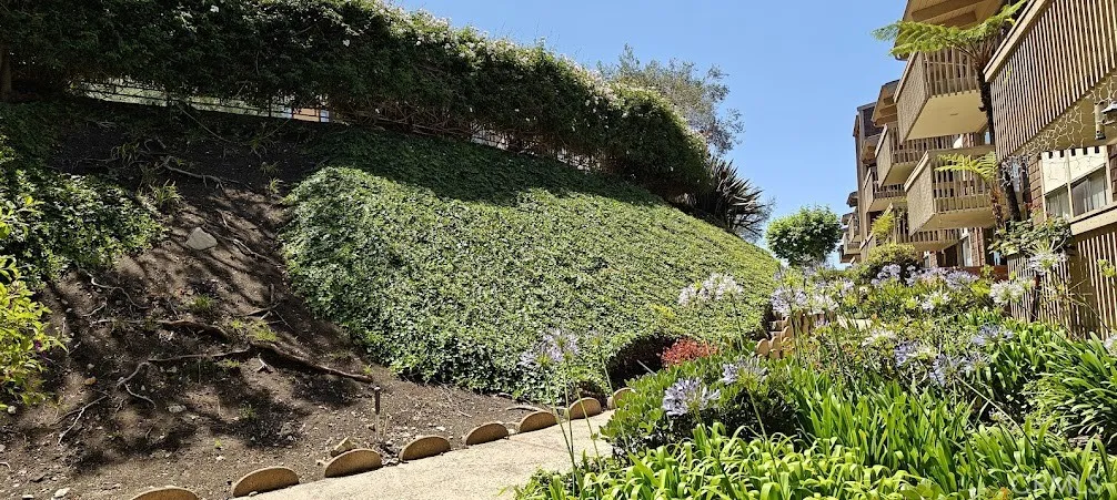 Grounds