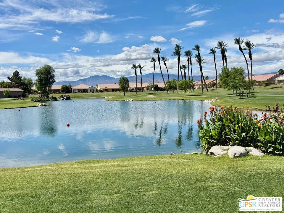 Dog Park
