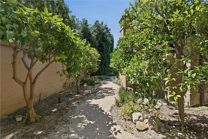 Garden pathway lined with mature citrus trees and lush landscaping.