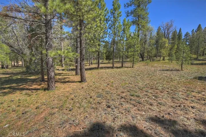 42285 Heavenly Valley, Big Bear Lake, California 92315
