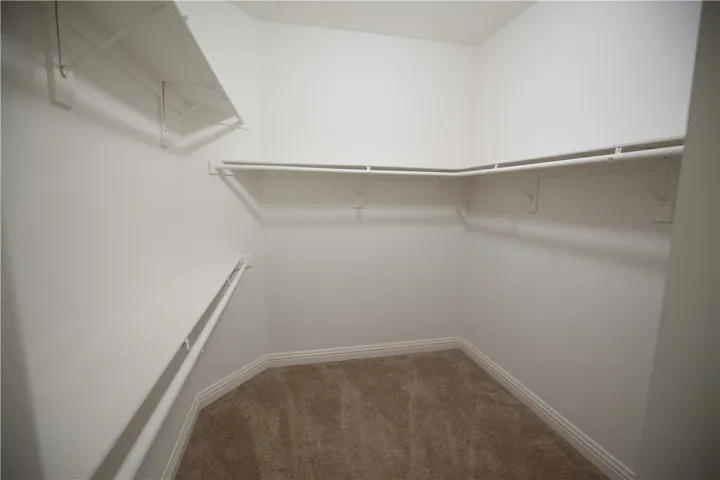 Primary Suite - Walk in closet