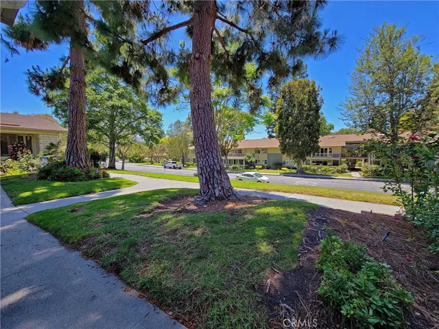 Grassy area just outside your front door.