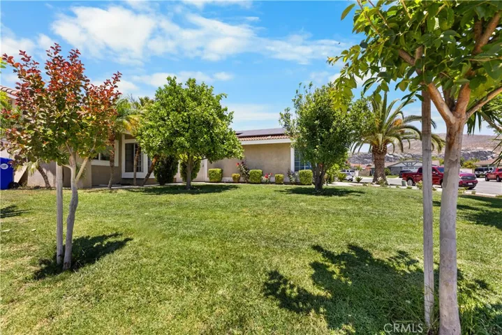 CORNER FRONT YARD