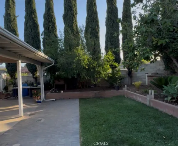 BACK YARD