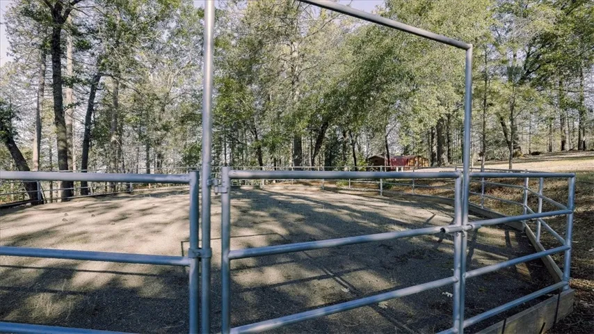 horse property