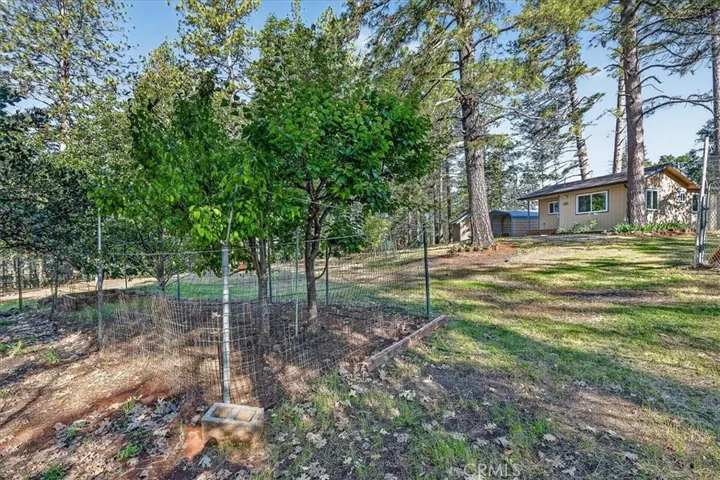 fruit trees
