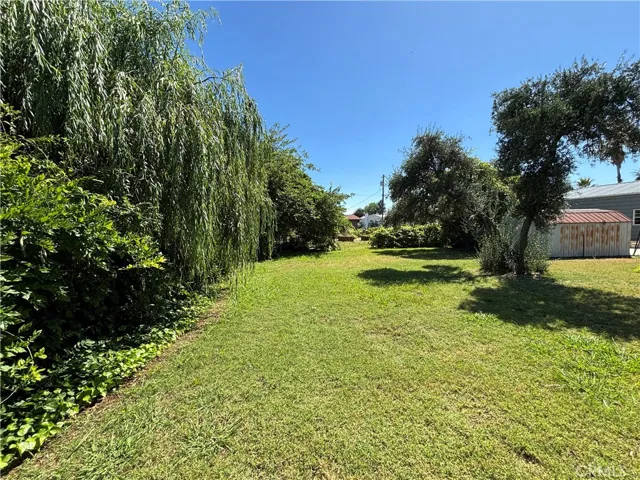 Back yard with weeping willows offering privacy and beauty