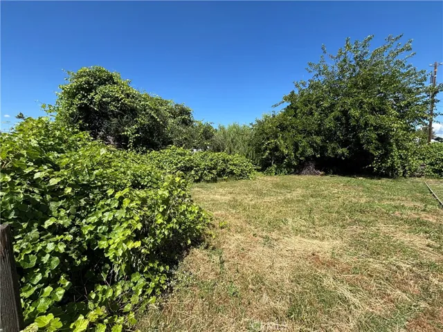 View of back yard