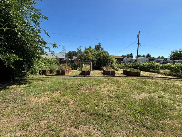 Raised garden beds plumbed with timed irrigation