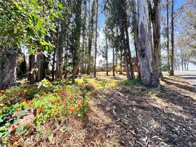 422 The Alameda, El Granada, California 94018 — photo 4