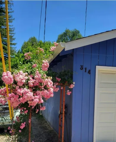 314 Riverside Park Drive, Ben Lomond, California 95005