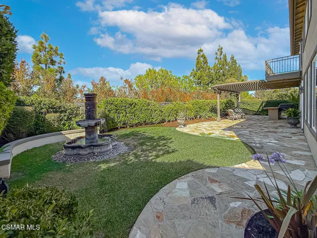 lBackyard1